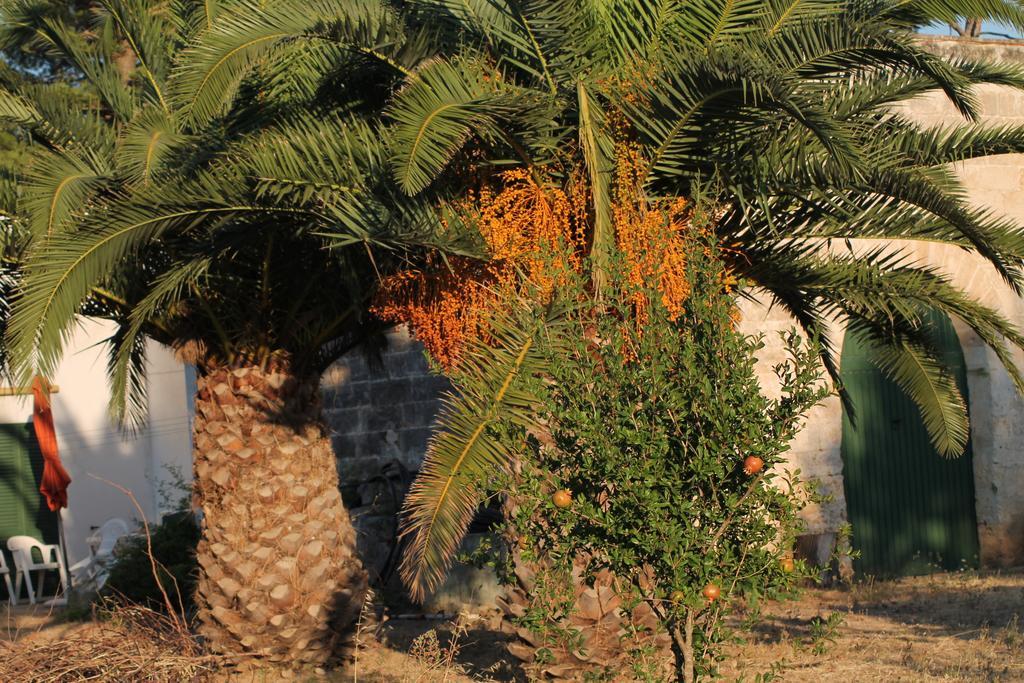 Masseria Vivi Il Salento Santa Caterina  Номер фото