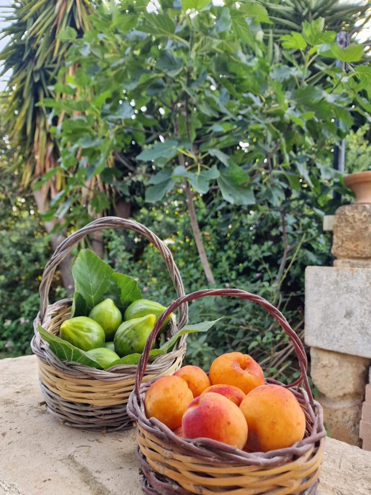 Masseria Vivi Il Salento Santa Caterina  Екстер'єр фото