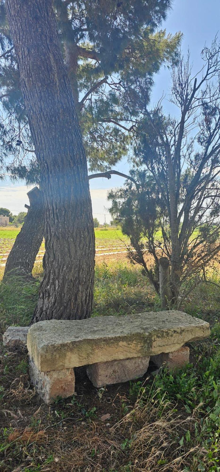 Masseria Vivi Il Salento Santa Caterina  Екстер'єр фото