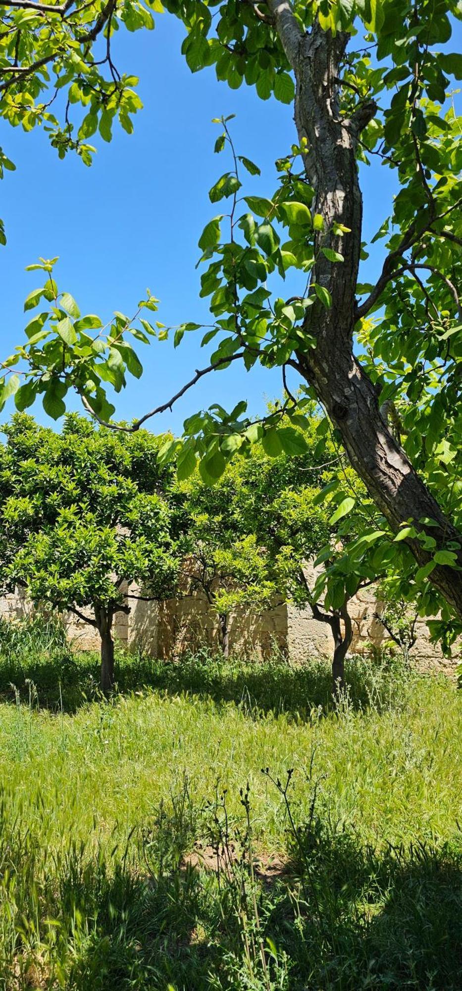 Masseria Vivi Il Salento Santa Caterina  Екстер'єр фото