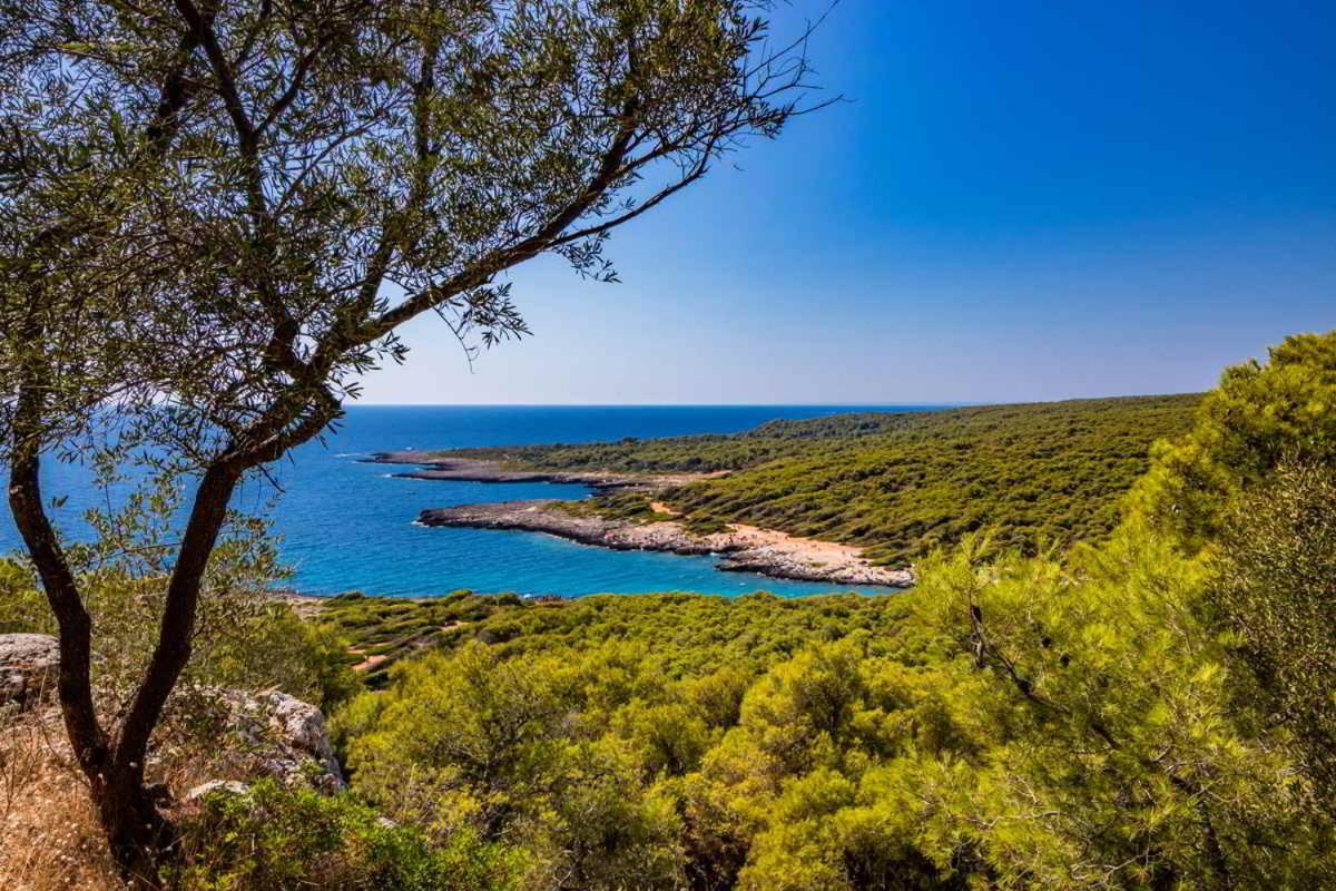 Masseria Vivi Il Salento Santa Caterina  Екстер'єр фото