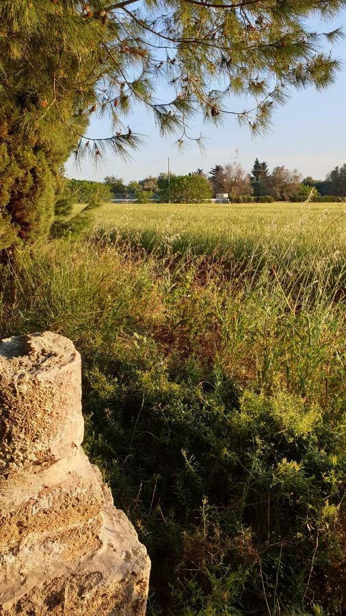 Masseria Vivi Il Salento Santa Caterina  Екстер'єр фото